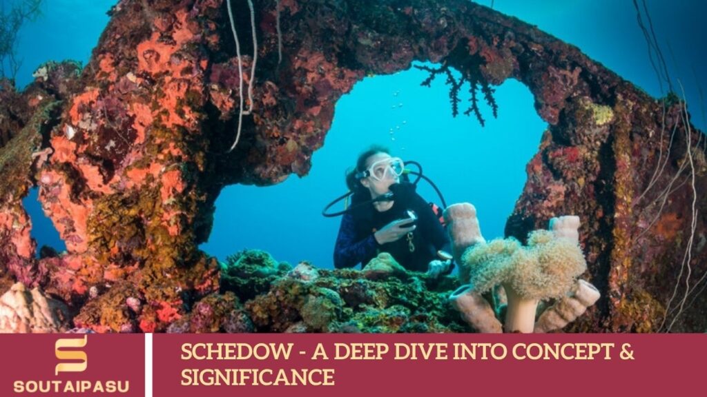 Schedow – A Deep Dive into Concept & Significance Schedow - A Deep Dive into Concept & Significance
